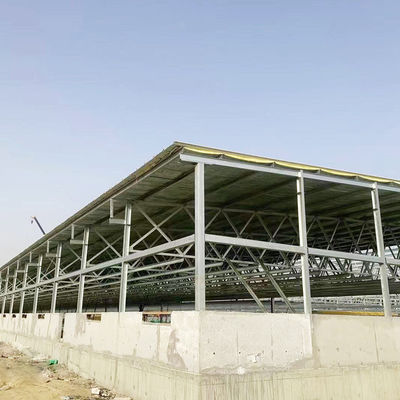 niedrige Kosten Fertigstahlkonstruktion Kuhschuppen Bauernhof Ziegenhaus Stahlkonstruktion Lagerhaus