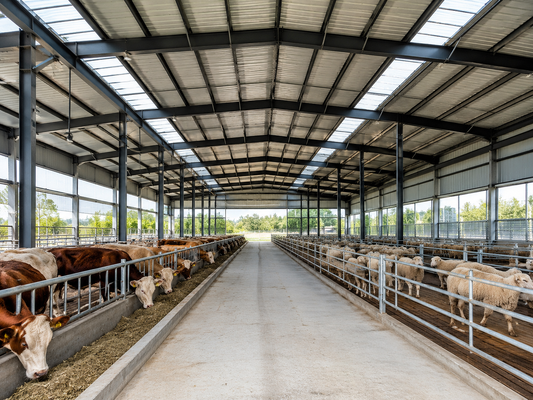 Dach-Lebenslast 035kn M2 Leichtstahlkonstruktion Lagerhaus Stahllagergebäude Langlebig und Lösung für industrielle Lagerbedürfnisse